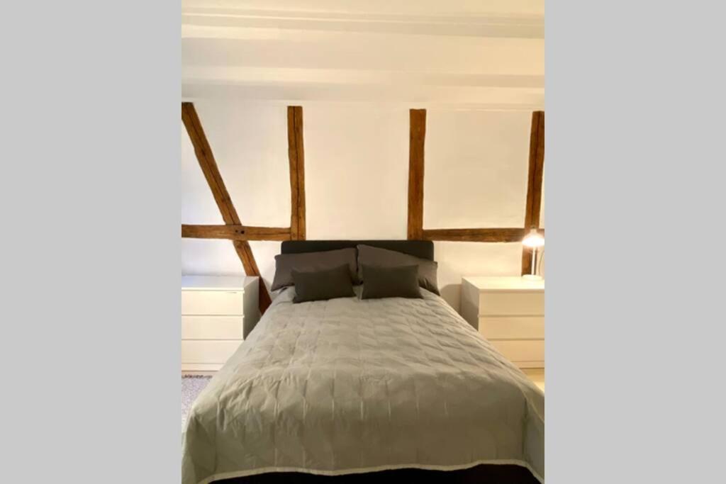 Apartament Luxury 'Kings Garden' City-Flat In Center Of Town Kopenhaga Zewnętrze zdjęcie