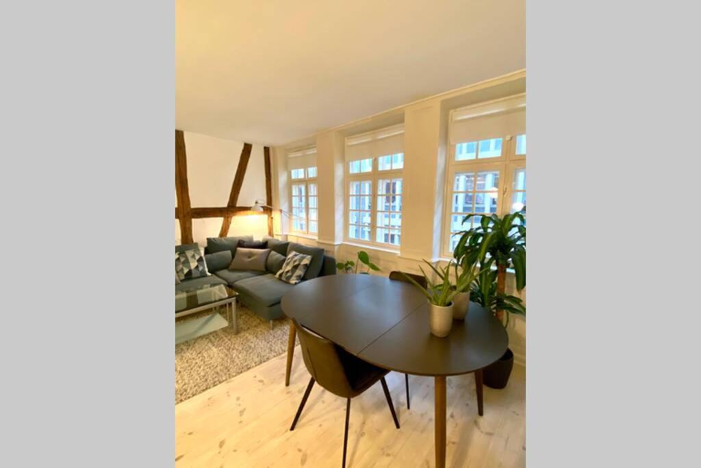 Apartament Luxury 'Kings Garden' City-Flat In Center Of Town Kopenhaga Zewnętrze zdjęcie